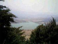 Réhabilitation du patrimoine forestier (Mila) : Le secteur des forêts opère sa mue