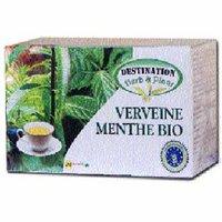 Culture de la verveine de Chekfa : La reine des tisanes tient le... bol