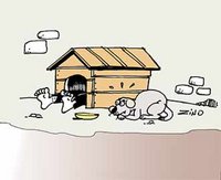 Des citoyens laissés pour compte à Médéa : Le sombre quotidien des sans-abri