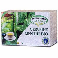 Culture de la verveine de Chekfa : La reine des tisanes tient le... bol