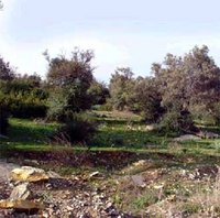 Commune de Aïn Taâzout : Des atouts touristiques à revaloriser