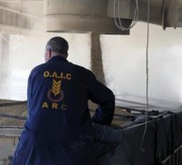 Hausse de la facture de l'Algérie malgré une baisse en volume Importation de blé