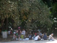 Sensibiliser aujourd'hui pour préserver demain Journée internationale de l'environnement