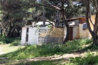 Un espace envahi par les squatteurs Forêt de Ben Mered