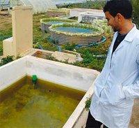 Ressources halieutiques à Aïn Defla : Bientôt une ferme aquacole à Djelida