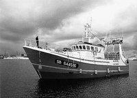 L'affaire du thon rouge devant le juge le 8 mars prochain : Un autre magistrat pour conduire le procès