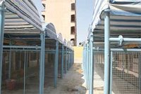 Mascara :  La joie des commerçants  de gros en fruits et légumes