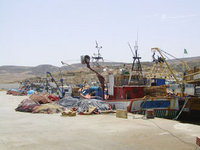 Chlef : Le nouveau port de pêche d'El Marsa opérationnel