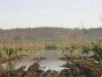 AEP/ Assainissement : 35 millions de DA pour les réseaux de Bouamama et Oued Tlélat