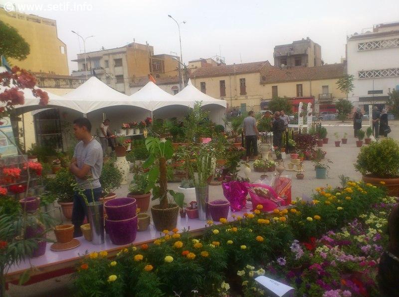 Premières floralies de Sétif en photos