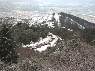 Le parc de Chréa affecté par les changements climatiques Des modifications de la flore et de la faune ont été observées