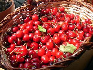 Tizi Ouzou : Coup d'envoi de la Fête de la cerise à Larbaa Nath Irathen...