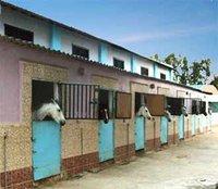 Centre équestre de Hammadi Krouma : Un espace familial enfin réhabilité