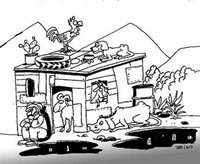 Population de N'haoua (Blida) : L'espoir d'une vie décente