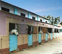 Centre équestre de Hammadi Krouma : Un espace familial enfin réhabilité