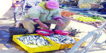 Mostaganem: Le citoyen évoque la sardine comme de la crevette