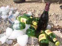 BISKRA Les allées Mohamed-Seddik-Benyahia en quête d'un lifting