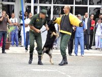 La brigade cynotechnique, un support de valeur à l'activité des unités de Gendarmerie nationale