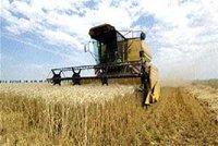 Secteur de l'agriculture à Bouira : Le contrat de performance à l'heure du bilan