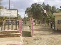 Mascara : Le cri de détresse de la Coopsem de Tizi