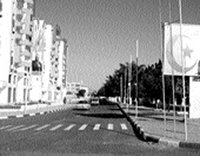 Jumelage entre El Eulma et Villeurbane : Perspective d'un protocole d'accord