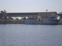 Pêche au thon : Les armateurs craignent de rester en rade