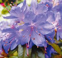 Météo culturelle. La plus belle des saisons : Coups de printemps