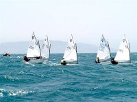 107 athlètes et 36 kitesurfers au rendez-vous de la régate internationale de voile d'Oran