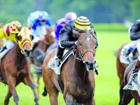 Les Pur-sang Anglais pour changer Les courses à Caroubier