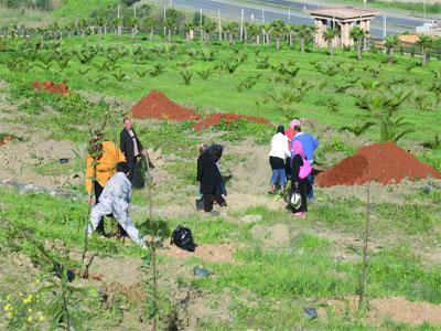 Constantine : Projet de réhabilitation de 10 jardins publics à Constantine