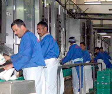 مواطنو بجاية متخوفون من رفع تسعيرة حليب الأكياس بعد تراجع معدل الإنتاج وسوء التوزيع..