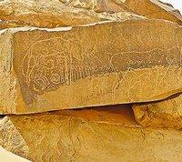 Biodiversité dans l'Ahaggar et le Tassili : De l'argent pour en faire un projet viable