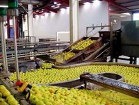 Secteur Agroalimentaire en 2009 :  50% du PIB industriel