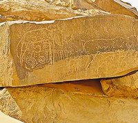 Biodiversité dans l'Ahaggar et le Tassili : De l'argent pour en faire un projet viable