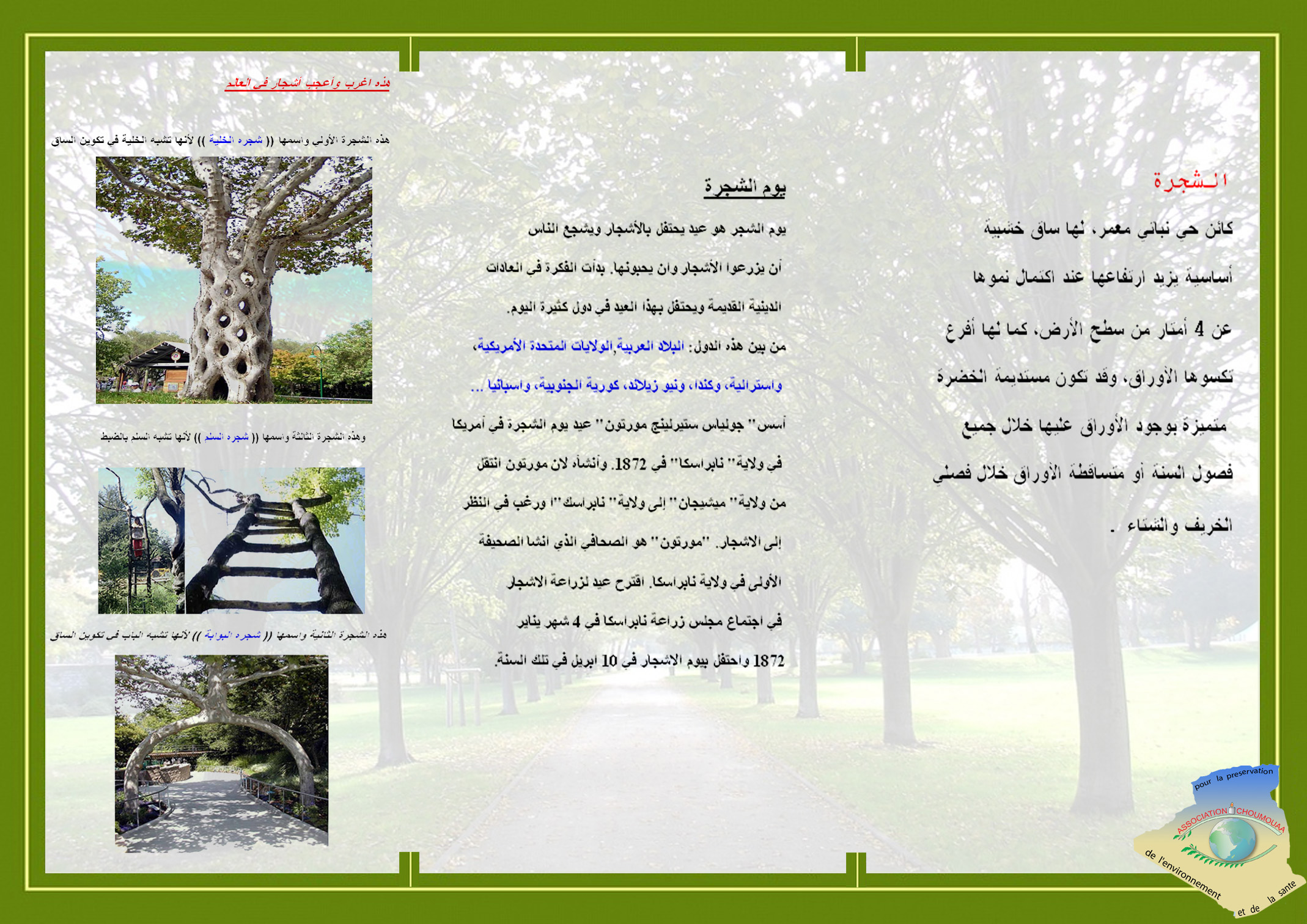 dépliant sur la journée de l'arbre