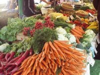 Boumerdes : une centaine d'exposants au salon national du maraichage