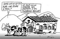 Douar El Yehoudi à Chebli (Blida) : Une ancienne porcherie comme lieu d'habitation