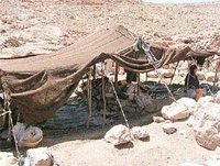 Sidi Amar (El Bayadh) :  Brouille entre tribus nomades