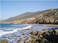 Environnement et énergies renouvelables :   Des ministres au chevet  de la Méditerranée