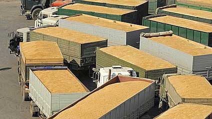 Les exportations françaises de blé tendre vers l'Algérie ont augmenté en avril