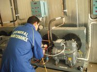 Des chambres froides en plein quartier résidentiel à Oran Le silence suspect de l'administration