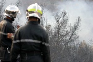 112250 هكتارا من الثروة الغابية معرضة للحرائق : انطلاق حملة الوقاية ضد حرائق الغابات بالبويرة