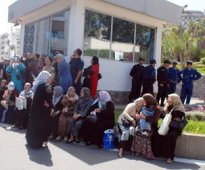 فليسي تدعو لسن قانون خاص بالدفاع عن حقوق ضحايا الإرهاب