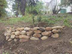 Djenane Dardar  pour la revalorisation du frêne dans le constantinois