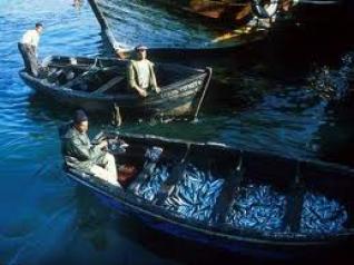 وهران تدعيم بلدية مرسى الحجاج بمرفأ للصيد البحري