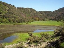 اتخاذ إجراءات وقائية لحماية الثروة الغابية بالمدية