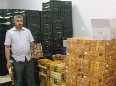 Etrange pénurie de dattes À l'approche du ramadhan à Biskra