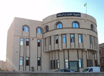 MOSTAGANEM : Une présidente d'association accuse le DJS de l'avoir insultée lors d'un entretien Le directeur de la jeunesse et des sports dément