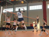 Championnat d'Algérie de volley-ball 1A (Finale seniors dames) : le NRC en quête d'exploit