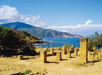 Site archéologique de Tipasa :  24 canons du XVIe siècle immergés en mer